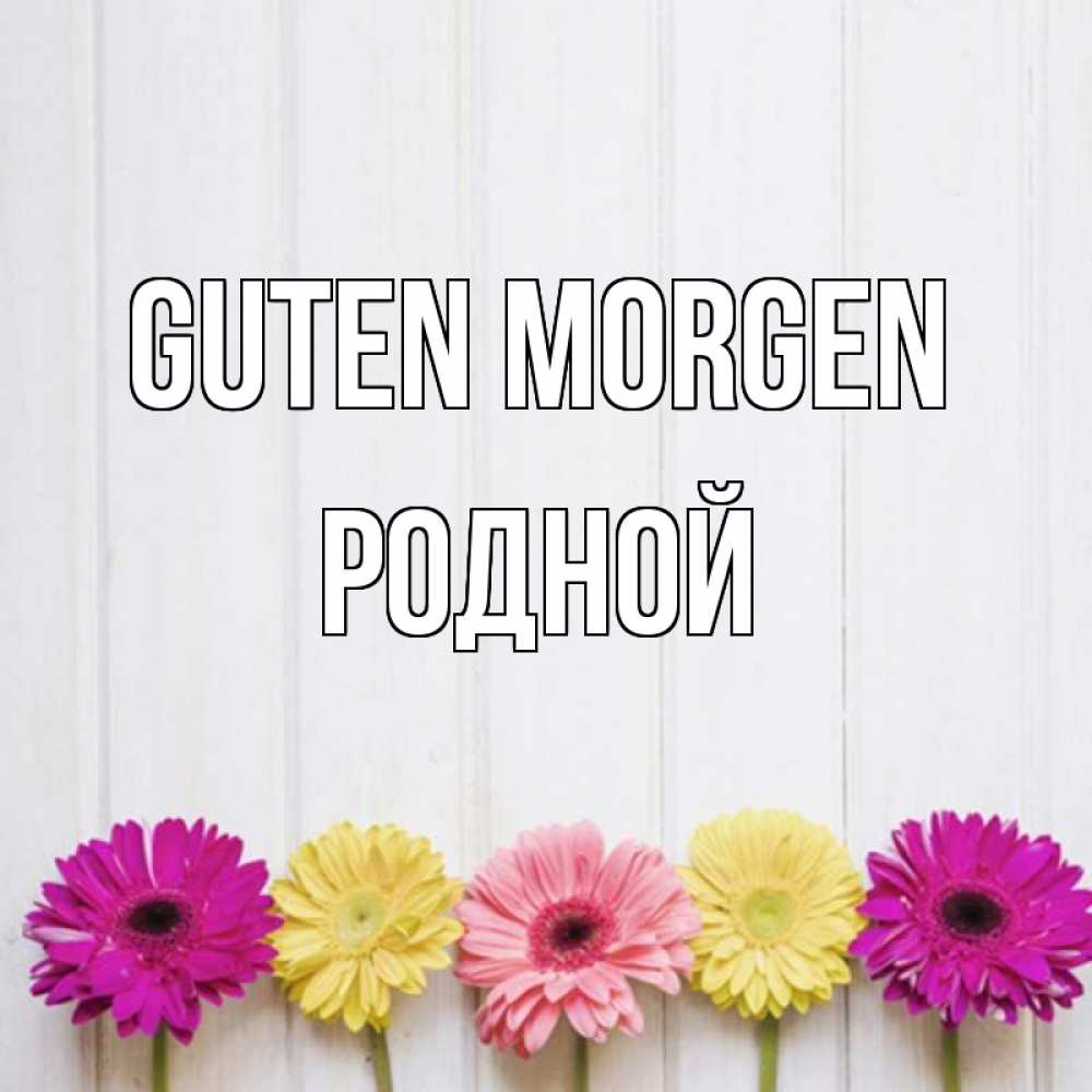 Открытка на каждый день с именем, Родной Guten Morgen красный желтый и розовый цветок Прикольная открытка с пожеланием онлайн скачать бесплатно 