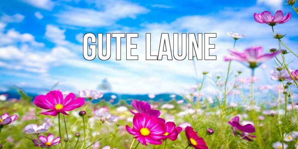 Открытка на каждый день с именем, выберите-имя Gute Laune поле цветов Прикольная открытка с пожеланием онлайн скачать бесплатно 