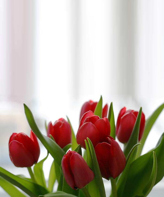 Открытка с цветами  полевые цветы  Am 8. März 