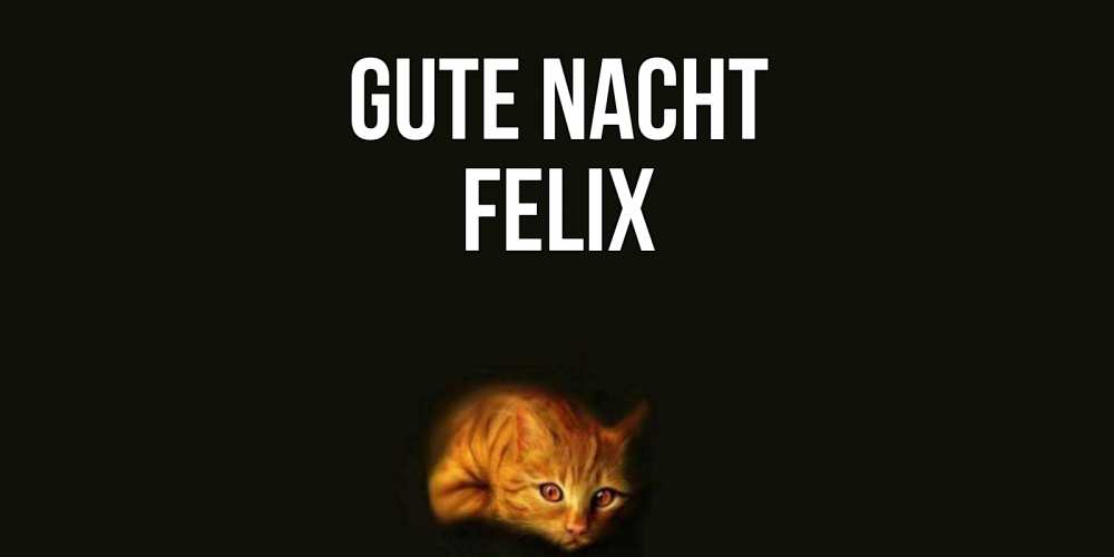 Открытка на каждый день с именем, Felix Gute Nacht кот Прикольная открытка с пожеланием онлайн скачать бесплатно 
