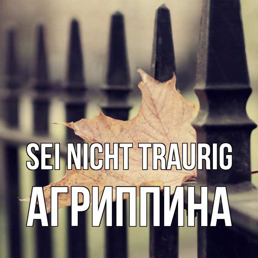 Открытка на каждый день с именем, Агриппина Sei nicht traurig лист клена Прикольная открытка с пожеланием онлайн скачать бесплатно 