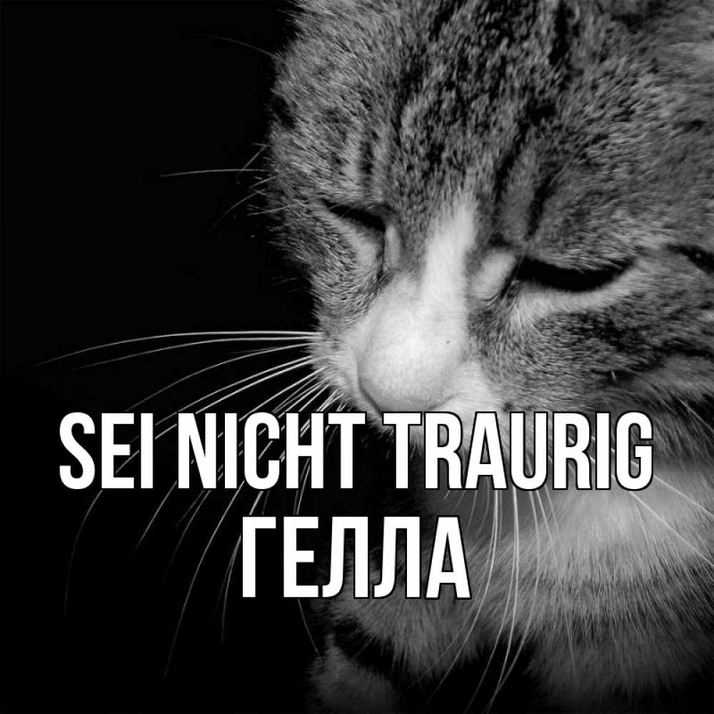Открытка на каждый день с именем, Гелла Sei nicht traurig грустный котик Прикольная открытка с пожеланием онлайн скачать бесплатно 
