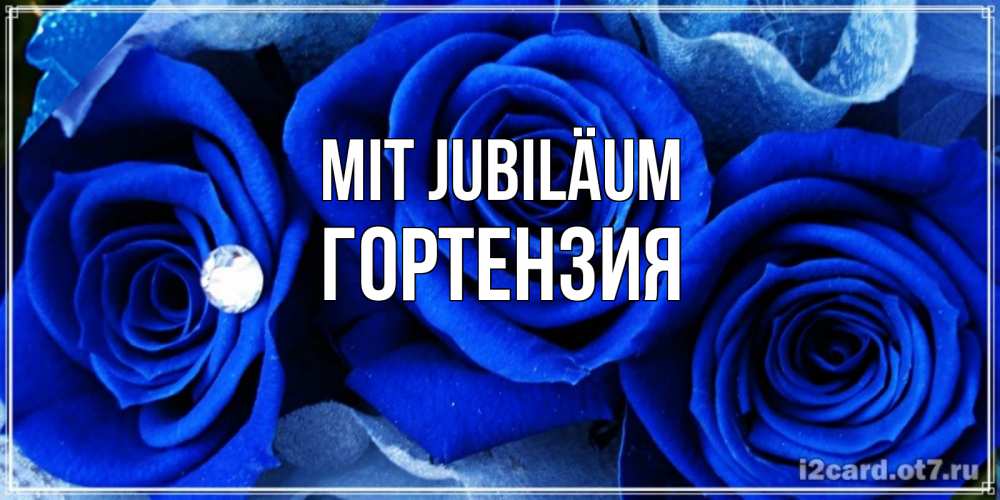 Открытка на каждый день с именем, Гортензия Mit Jubiläum синие розы в росе Прикольная открытка с пожеланием онлайн скачать бесплатно 