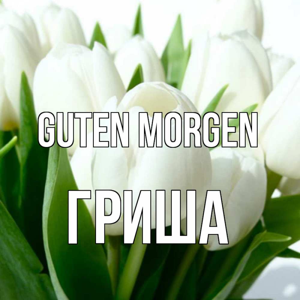 Открытка на каждый день с именем, Гриша Guten Morgen открытки на каждый день по именам Прикольная открытка с пожеланием онлайн скачать бесплатно 
