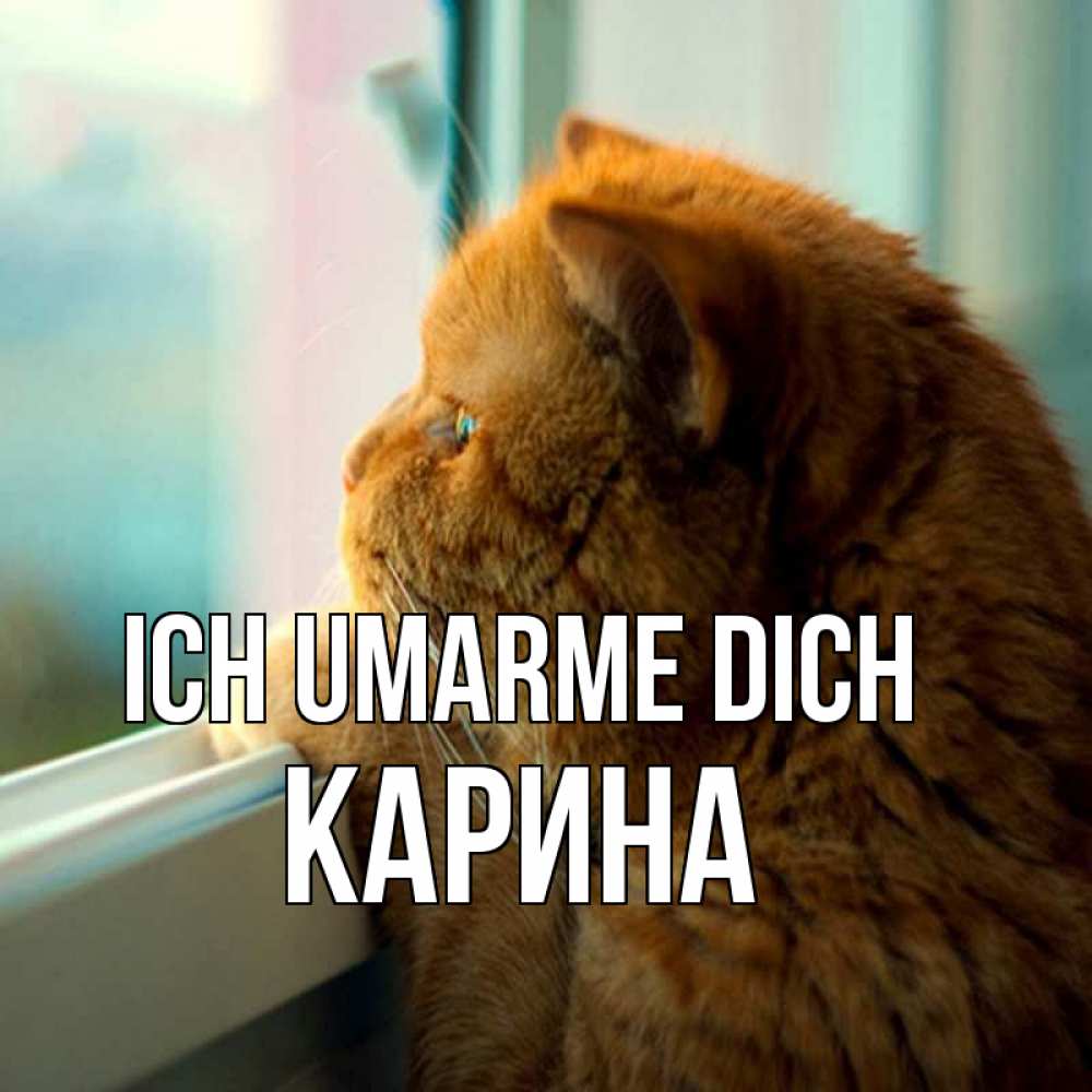 Открытка на каждый день с именем, Карина Ich umarme dich большой огромный рыжий котяра Прикольная открытка с пожеланием онлайн скачать бесплатно 