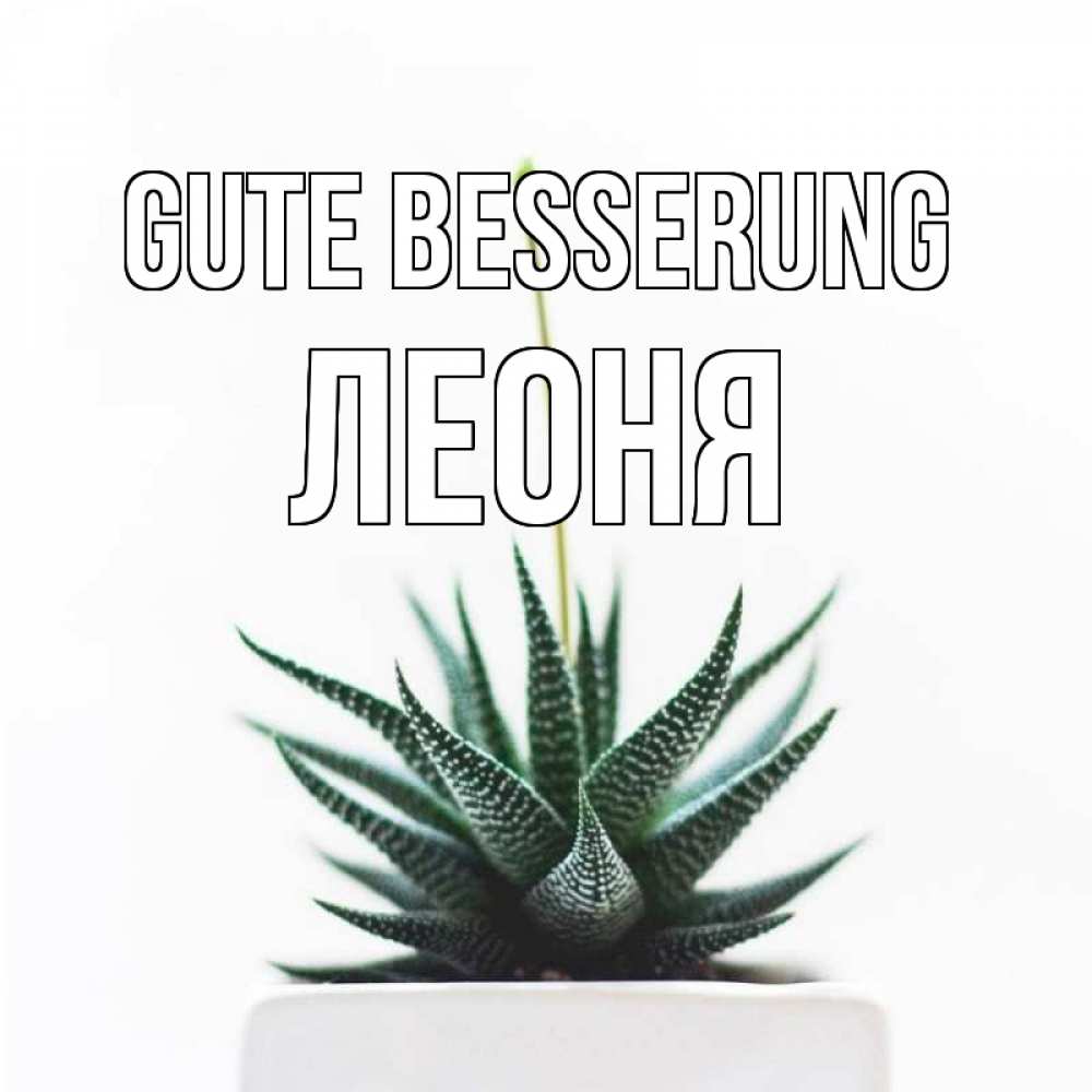 Открытка на каждый день с именем, Леоня Gute Besserung короче это непонятная колючка Прикольная открытка с пожеланием онлайн скачать бесплатно 