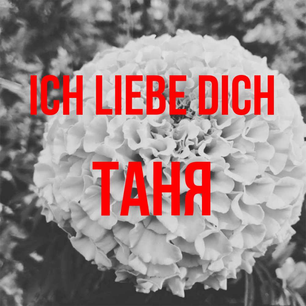 Открытка на каждый день с именем, Таня Ich liebe dich подпись Прикольная открытка с пожеланием онлайн скачать бесплатно 