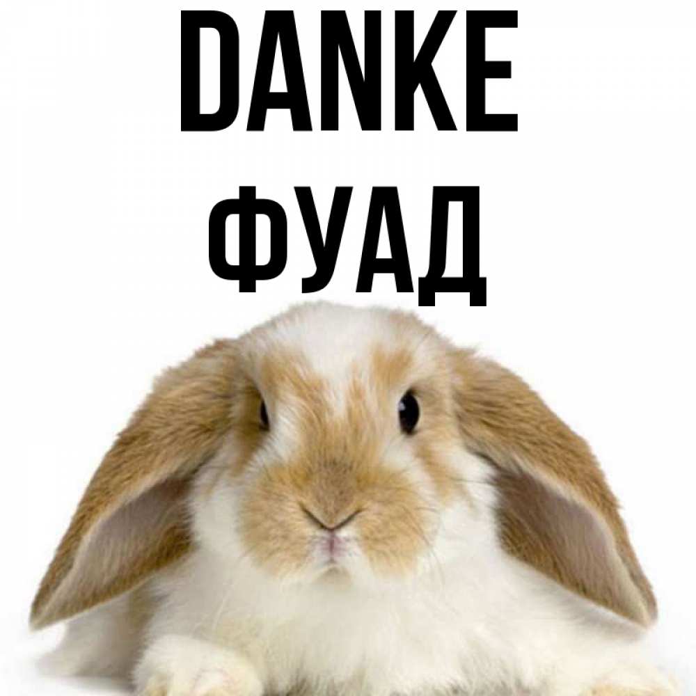 Открытка на каждый день с именем, Фуад Danke коричнево белый заяц Прикольная открытка с пожеланием онлайн скачать бесплатно 