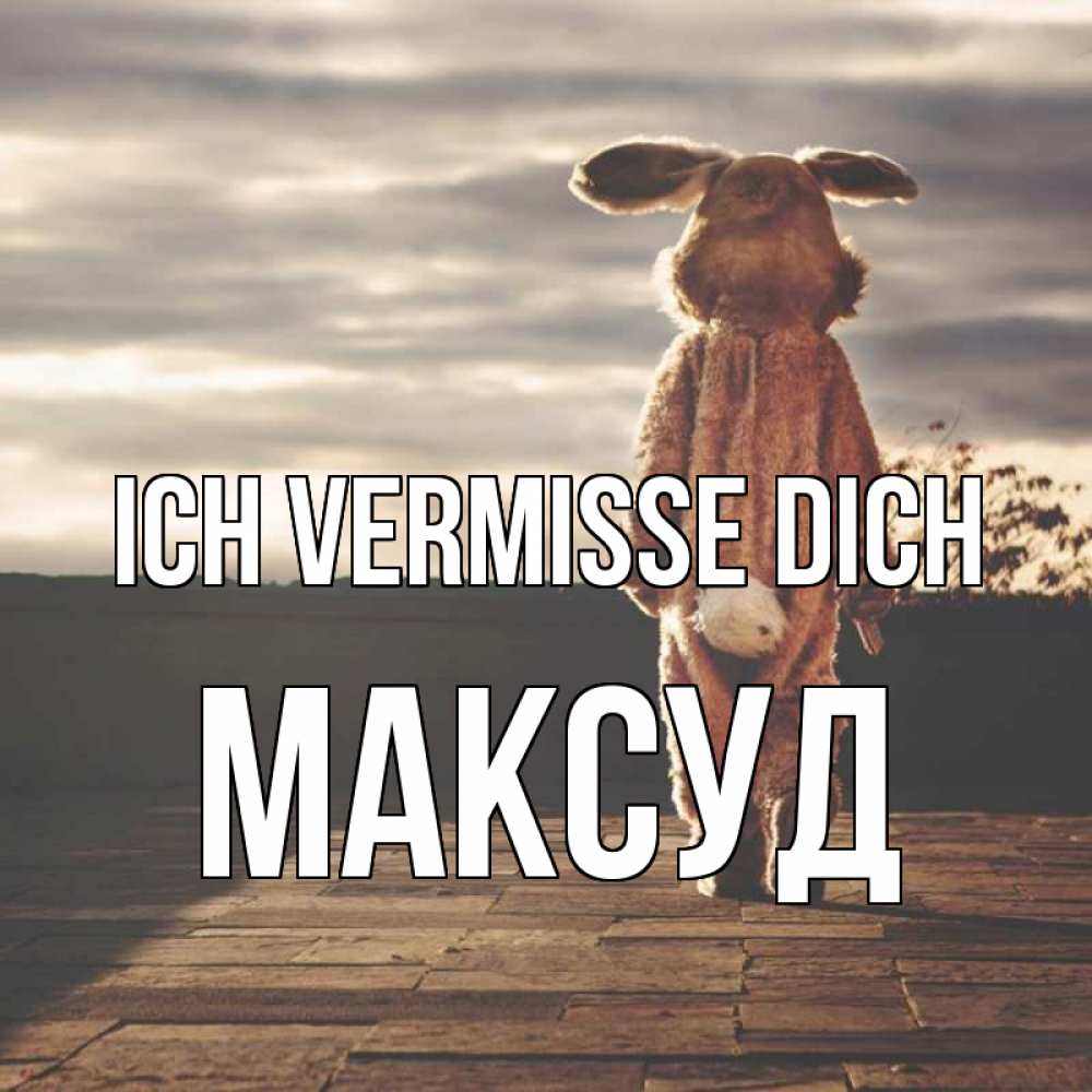 Открытка на каждый день с именем, Максуд Ich vermisse dich даже в костюме зайца Прикольная открытка с пожеланием онлайн скачать бесплатно 