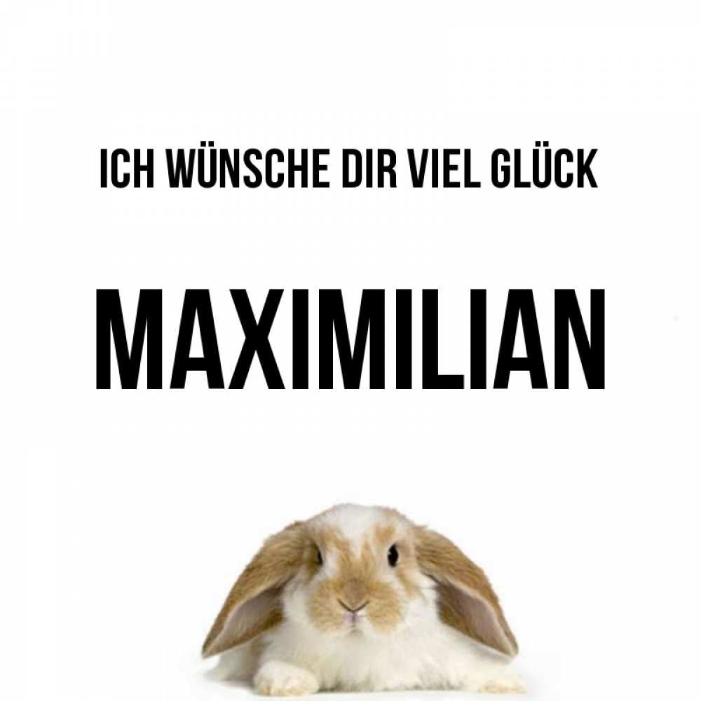 Открытка на каждый день с именем, Maximilian Ich wünsche dir viel Glück открытки с произвольным текстом который можно вставить в открытку и создать ее самостоятельно бесплатно онлайн Прикольная открытка с пожеланием онлайн скачать бесплатно 