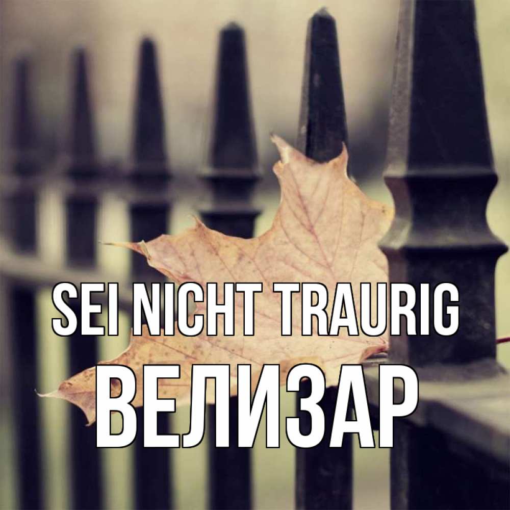 Открытка на каждый день с именем, Велизар Sei nicht traurig лист клена Прикольная открытка с пожеланием онлайн скачать бесплатно 