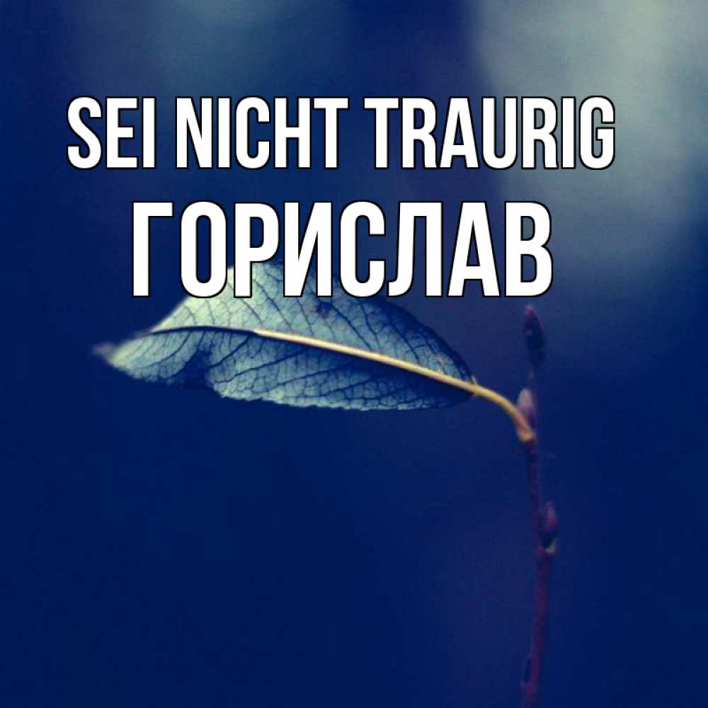 Открытка на каждый день с именем, Горислав Sei nicht traurig растение Прикольная открытка с пожеланием онлайн скачать бесплатно 