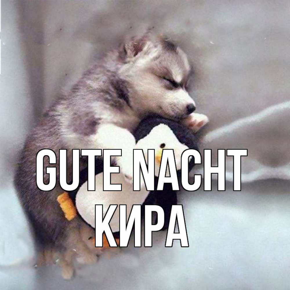 Открытка на каждый день с именем, Кира Gute Nacht обнимашки щенка и пингвина Прикольная открытка с пожеланием онлайн скачать бесплатно 