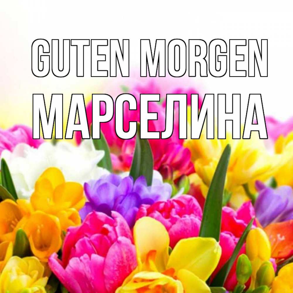 Открытка на каждый день с именем, Марселина Guten Morgen создать открытку со свое подписью Прикольная открытка с пожеланием онлайн скачать бесплатно 