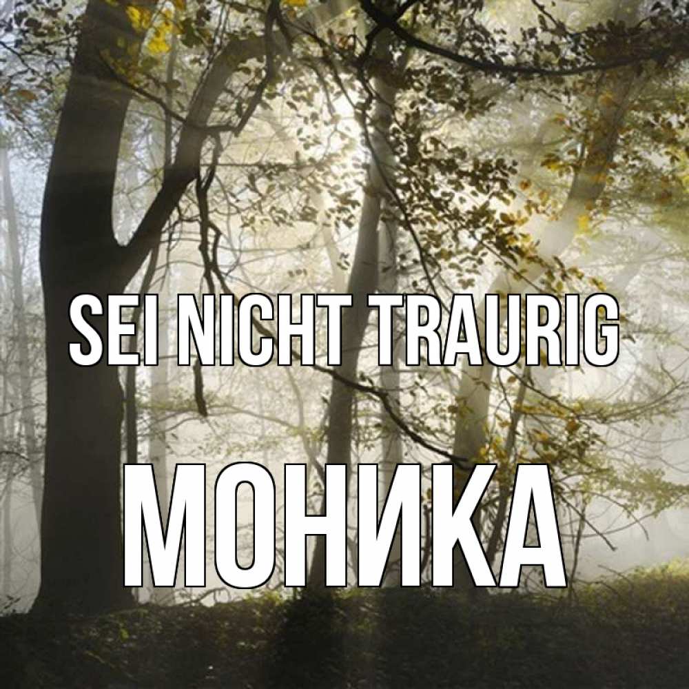 Открытка на каждый день с именем, Моника Sei nicht traurig лес и свет Прикольная открытка с пожеланием онлайн скачать бесплатно 