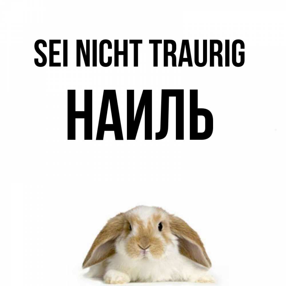 Открытка на каждый день с именем, Наиль Sei nicht traurig коричнево белый заяц с большими ушками Прикольная открытка с пожеланием онлайн скачать бесплатно 