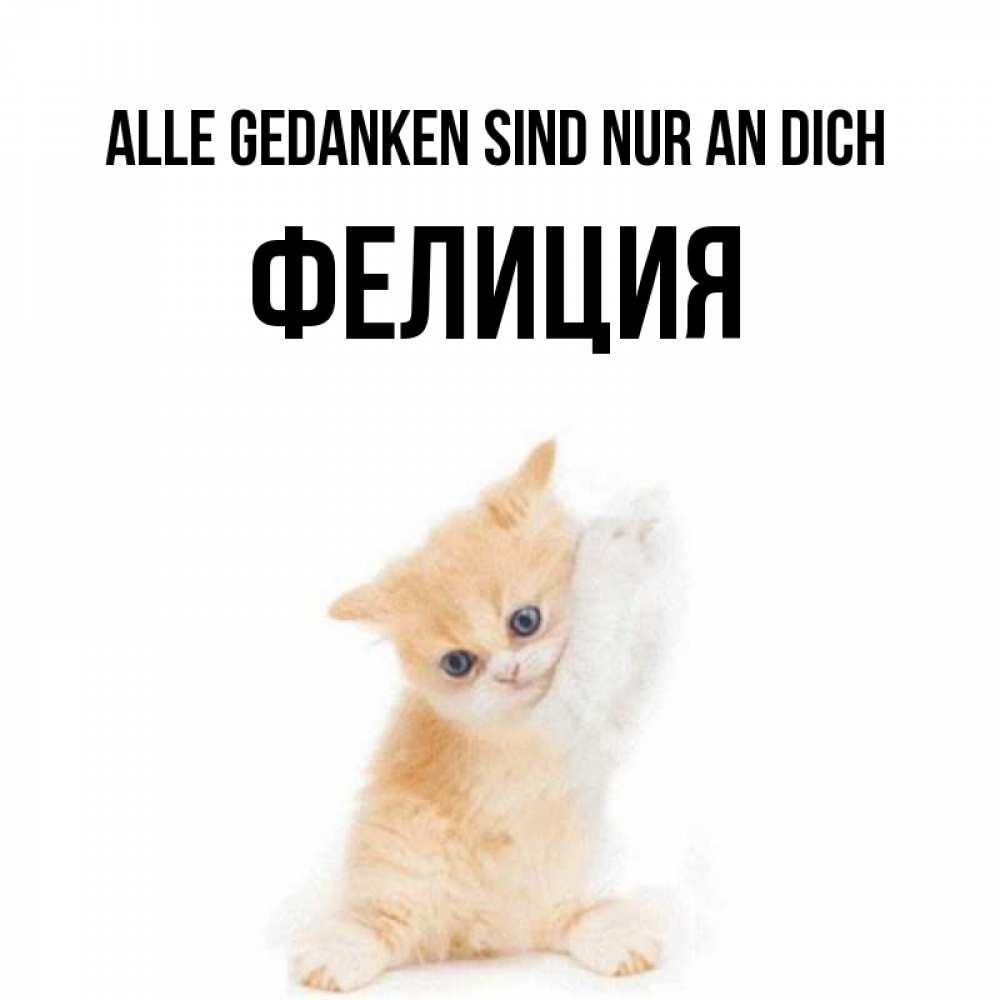 Открытка на каждый день с именем, Фелиция Alle Gedanken sind nur an dich зверушки и милота Прикольная открытка с пожеланием онлайн скачать бесплатно 