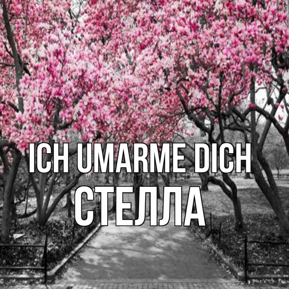 Открытка на каждый день с именем, Стелла Ich umarme dich обработанное фото Прикольная открытка с пожеланием онлайн скачать бесплатно 