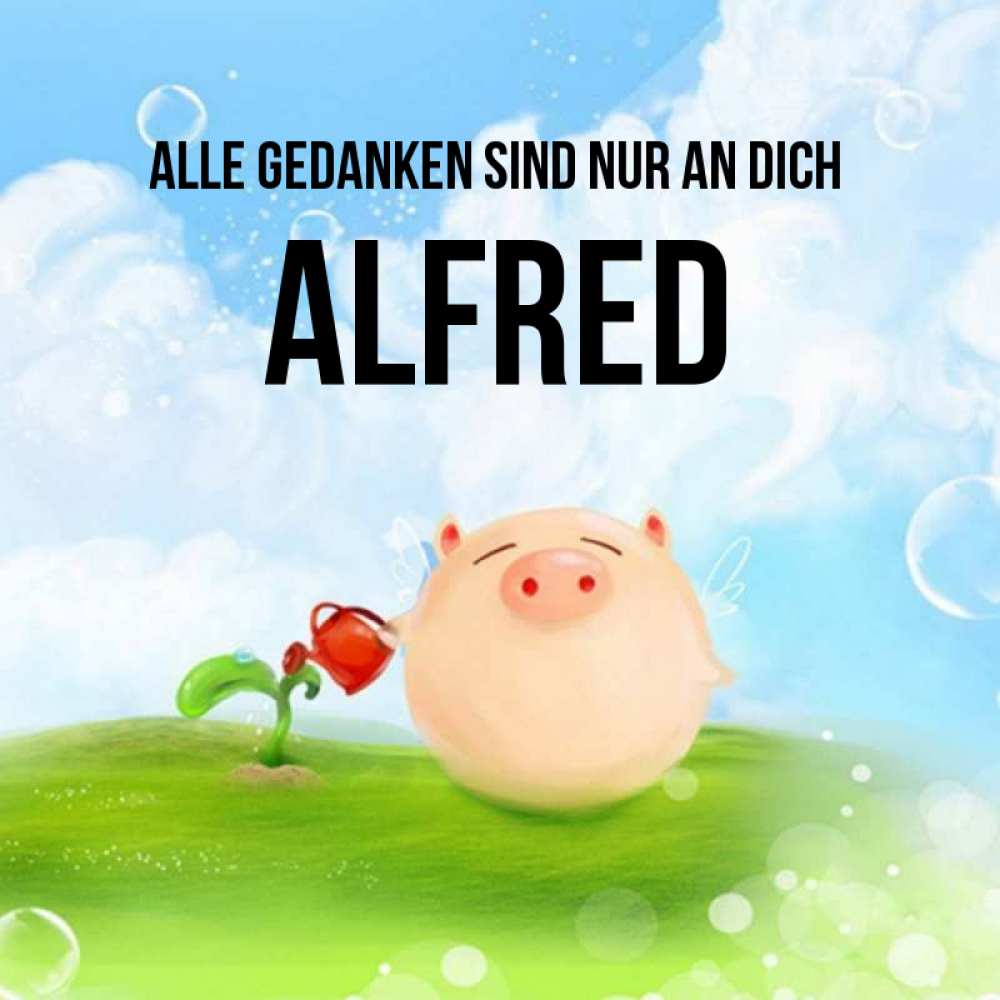 Открытка на каждый день с именем, Alfred Alle Gedanken sind nur an dich позитивная свинюшка Прикольная открытка с пожеланием онлайн скачать бесплатно 