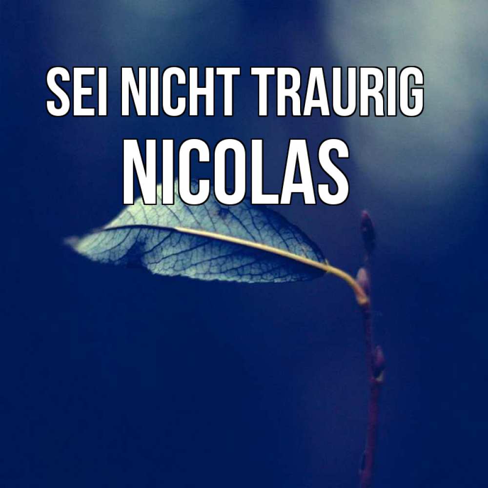 Открытка на каждый день с именем, Nicolas Sei nicht traurig растение Прикольная открытка с пожеланием онлайн скачать бесплатно 