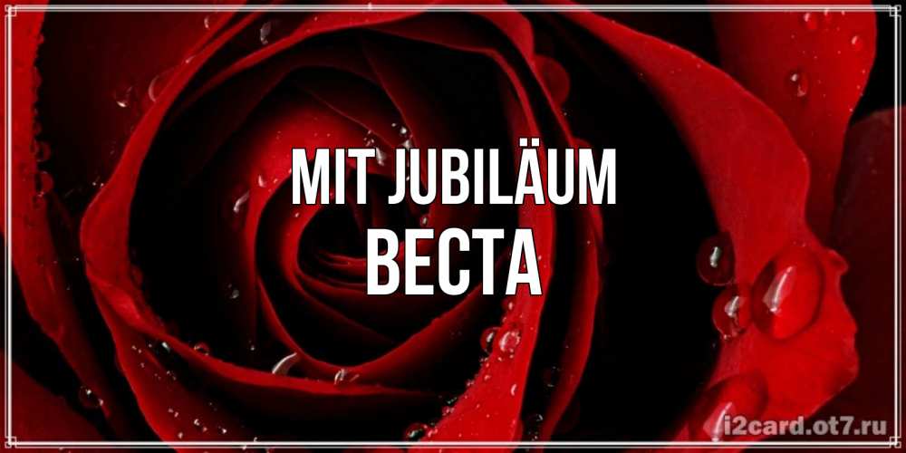 Открытка на каждый день с именем, Веста Mit Jubiläum крупная бордовая роза Прикольная открытка с пожеланием онлайн скачать бесплатно 