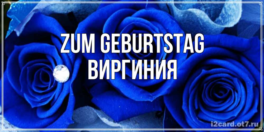 Открытка на каждый день с именем, Виргиния Zum Geburtstag синие розы в росе Прикольная открытка с пожеланием онлайн скачать бесплатно 