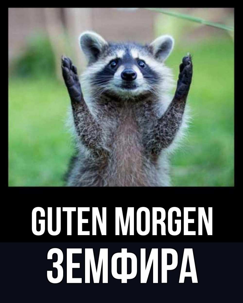 Открытка на каждый день с именем, Земфира Guten Morgen хорошее настроение утречком Прикольная открытка с пожеланием онлайн скачать бесплатно 
