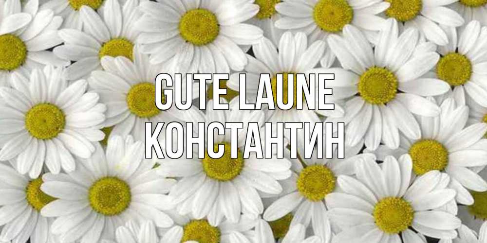 Открытка на каждый день с именем, Константин Gute Laune поляна ромашек Прикольная открытка с пожеланием онлайн скачать бесплатно 