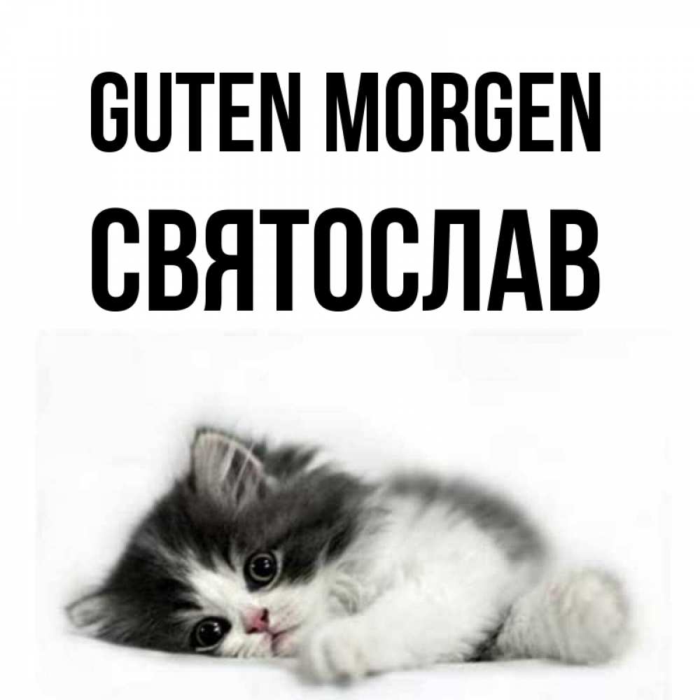 Открытка на каждый день с именем, Святослав Guten Morgen кот лапки Прикольная открытка с пожеланием онлайн скачать бесплатно 
