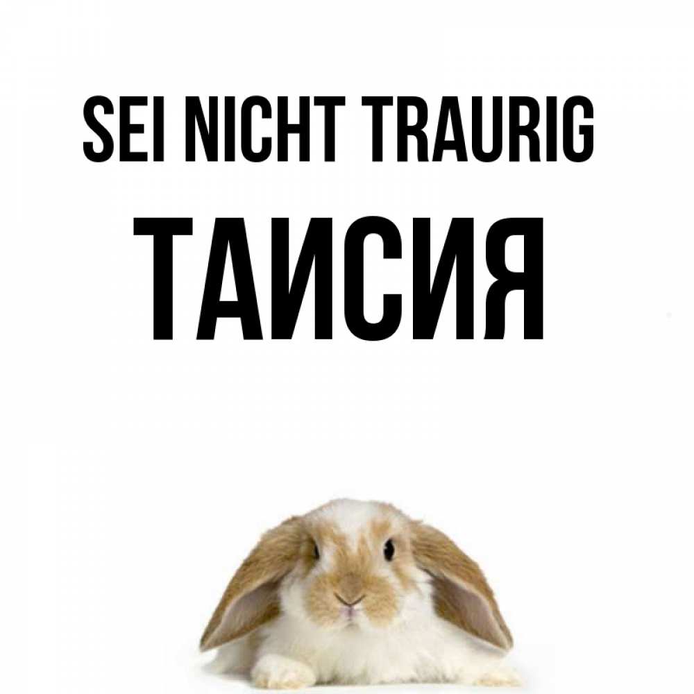 Открытка на каждый день с именем, Таисия Sei nicht traurig коричнево белый заяц с большими ушками Прикольная открытка с пожеланием онлайн скачать бесплатно 
