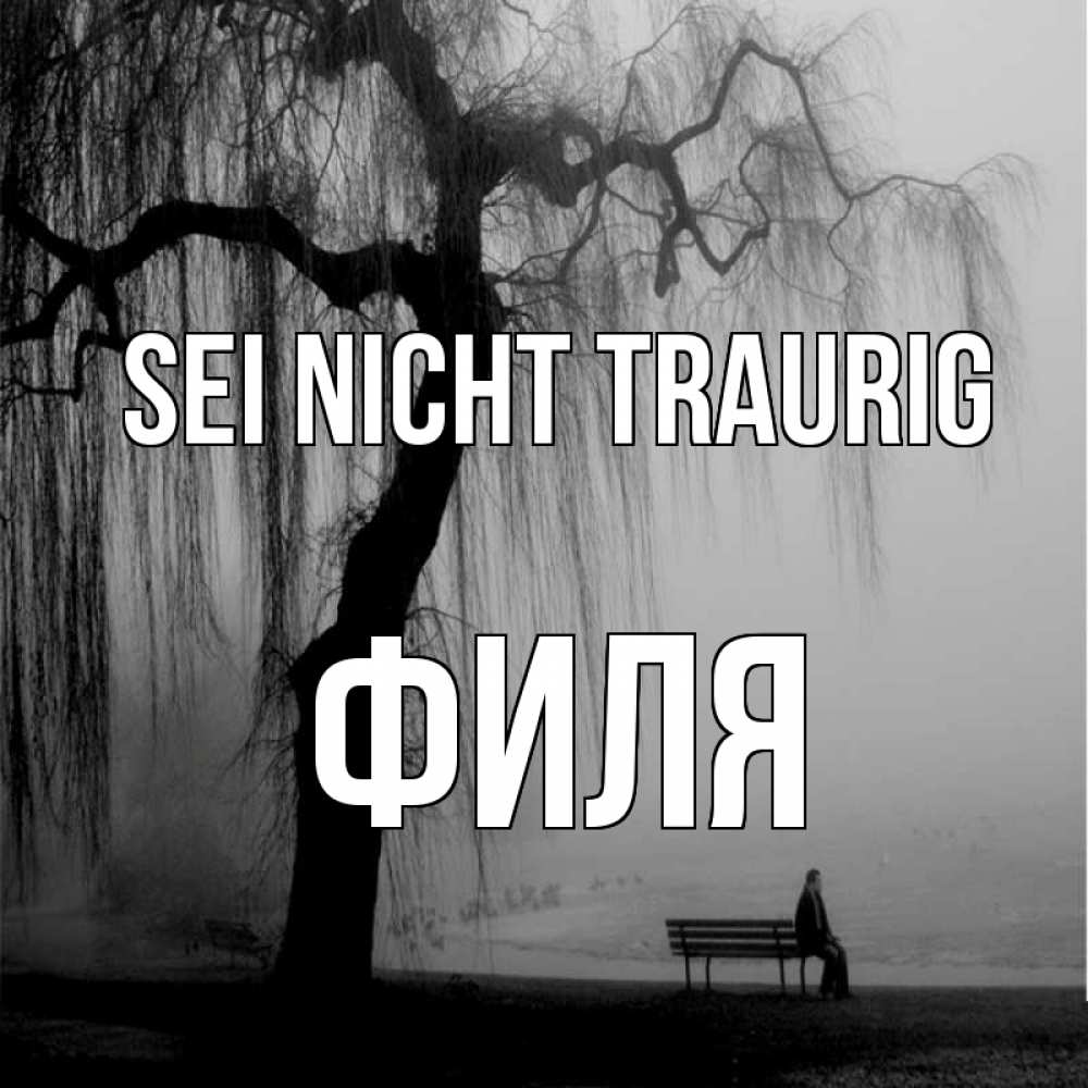 Открытка на каждый день с именем, Филя Sei nicht traurig висящие ветки дерева и лавочка под деревом Прикольная открытка с пожеланием онлайн скачать бесплатно 