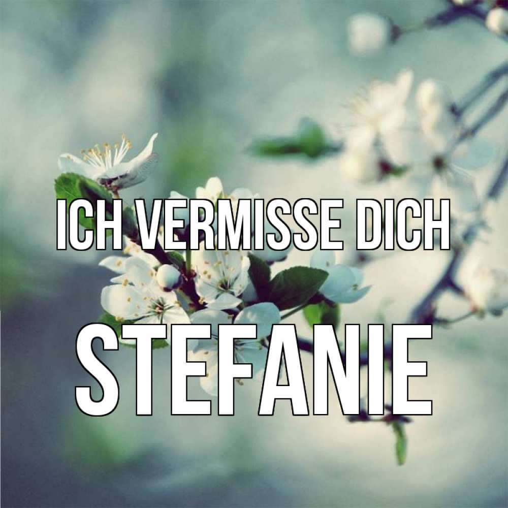 Открытка на каждый день с именем, Stefanie Ich vermisse dich весна Прикольная открытка с пожеланием онлайн скачать бесплатно 