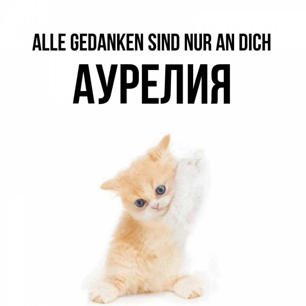 Открытка на каждый день с именем, Аурелия Alle Gedanken sind nur an dich зверушки и милота Прикольная открытка с пожеланием онлайн скачать бесплатно 