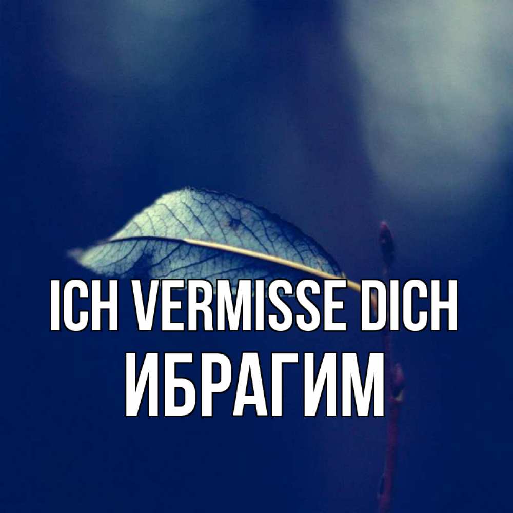 Открытка на каждый день с именем, Ибрагим Ich vermisse dich одна ветка 1 Прикольная открытка с пожеланием онлайн скачать бесплатно 