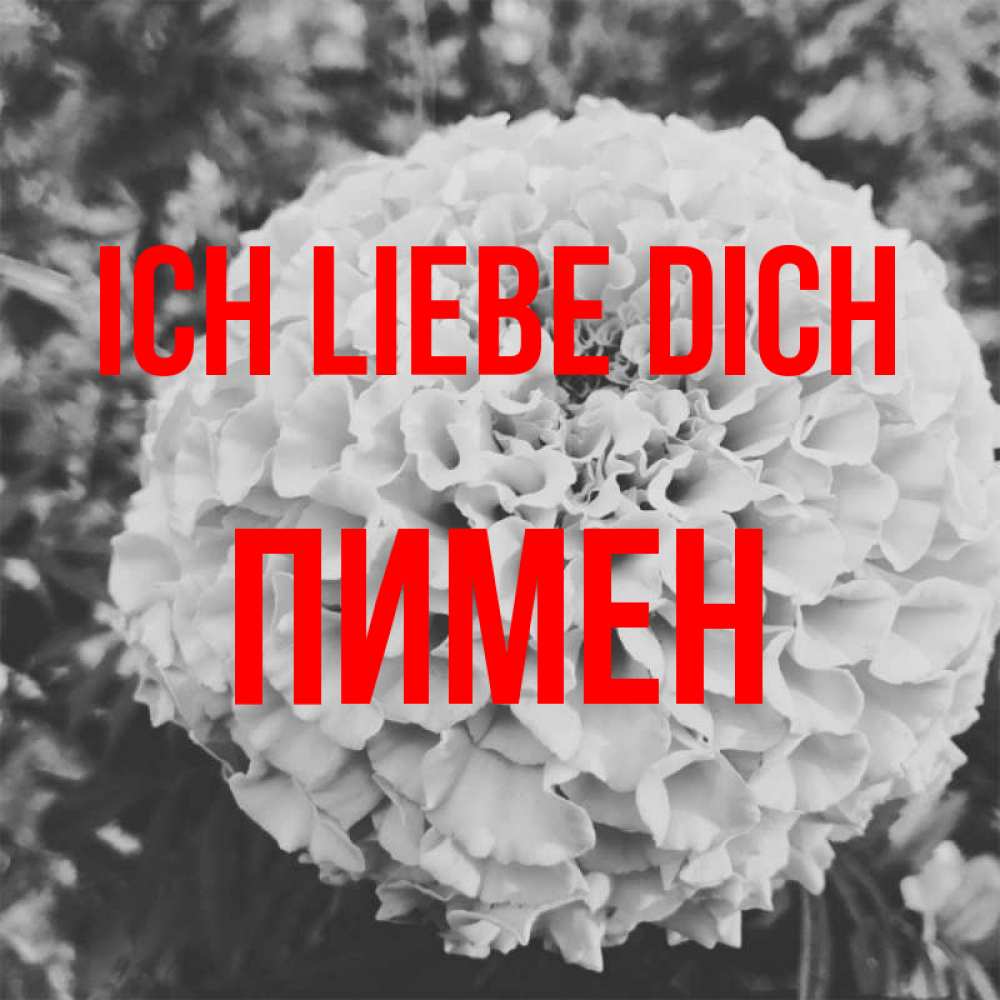 Открытка на каждый день с именем, Пимен Ich liebe dich подпись Прикольная открытка с пожеланием онлайн скачать бесплатно 