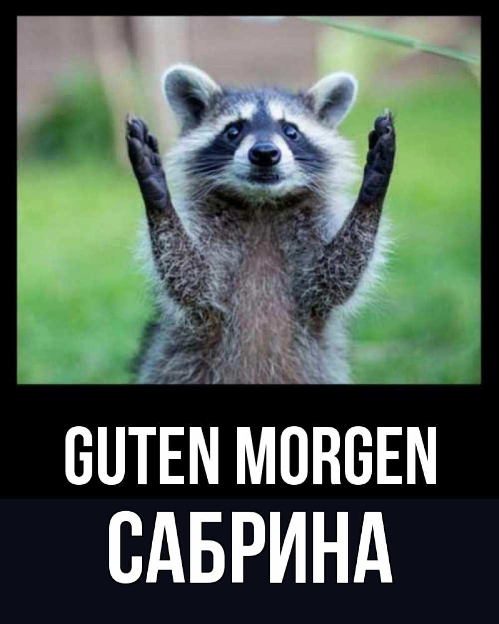 Открытка на каждый день с именем, Сабрина Guten Morgen хорошее настроение утречком Прикольная открытка с пожеланием онлайн скачать бесплатно 