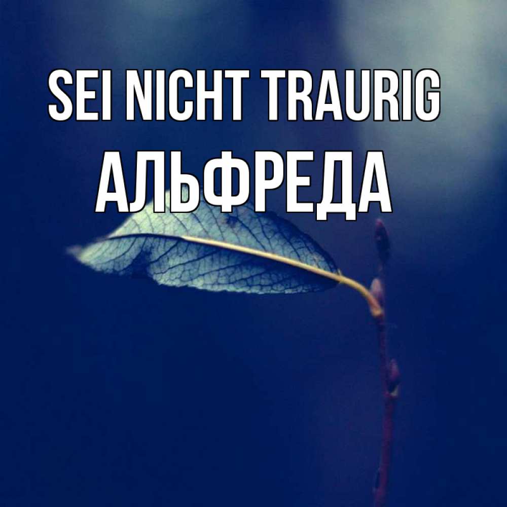 Открытка на каждый день с именем, Альфреда Sei nicht traurig растение Прикольная открытка с пожеланием онлайн скачать бесплатно 