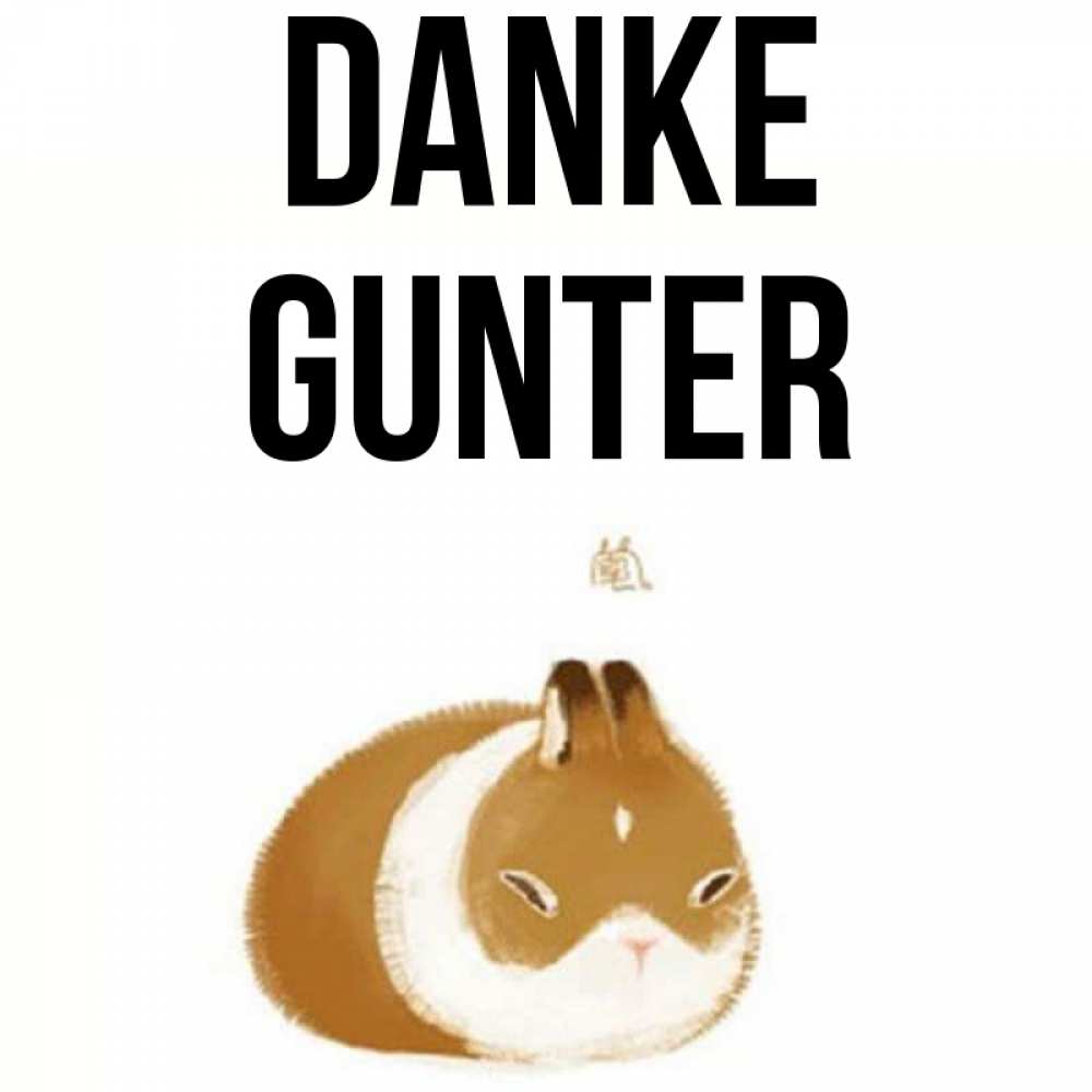 Открытка на каждый день с именем, Gunter Danke коричнево белый домашний питомец Прикольная открытка с пожеланием онлайн скачать бесплатно 