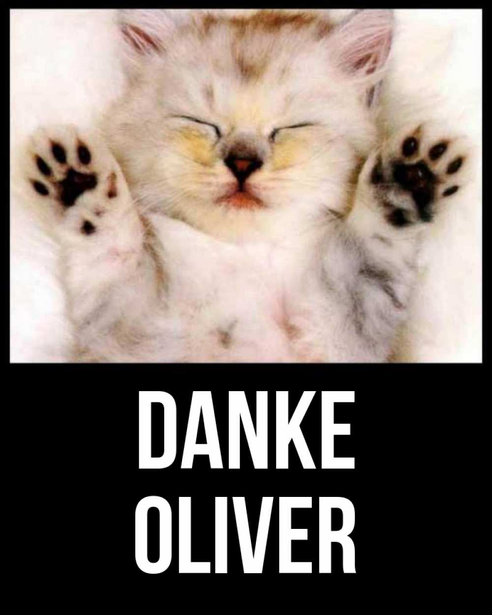 Открытка на каждый день с именем, Oliver Danke маленький котенок Прикольная открытка с пожеланием онлайн скачать бесплатно 