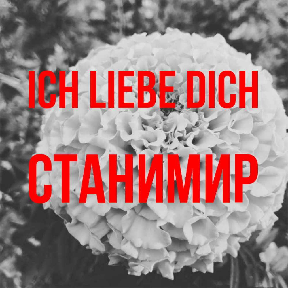 Открытка на каждый день с именем, Станимир Ich liebe dich подпись Прикольная открытка с пожеланием онлайн скачать бесплатно 