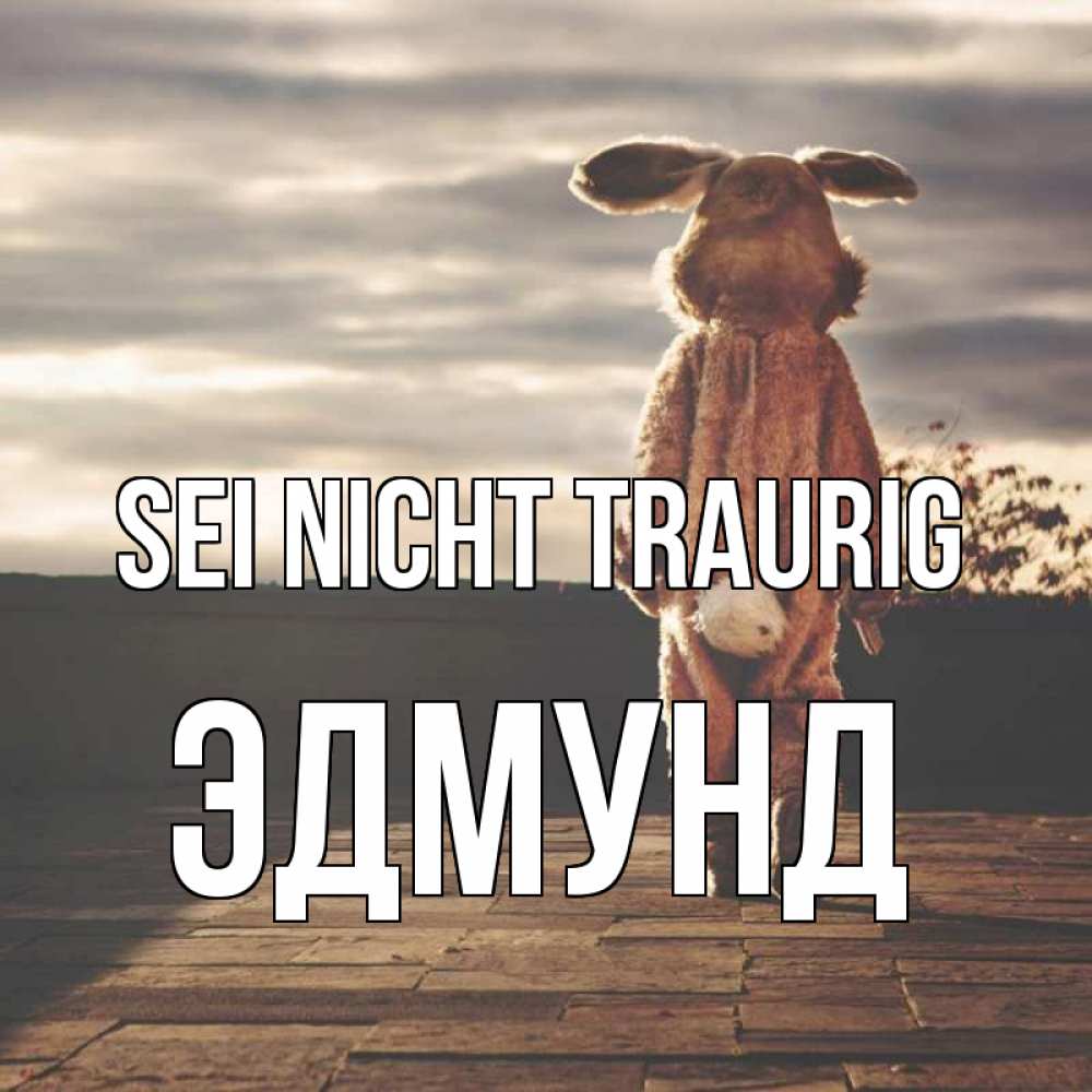 Открытка на каждый день с именем, Эдмунд Sei nicht traurig со спины Прикольная открытка с пожеланием онлайн скачать бесплатно 