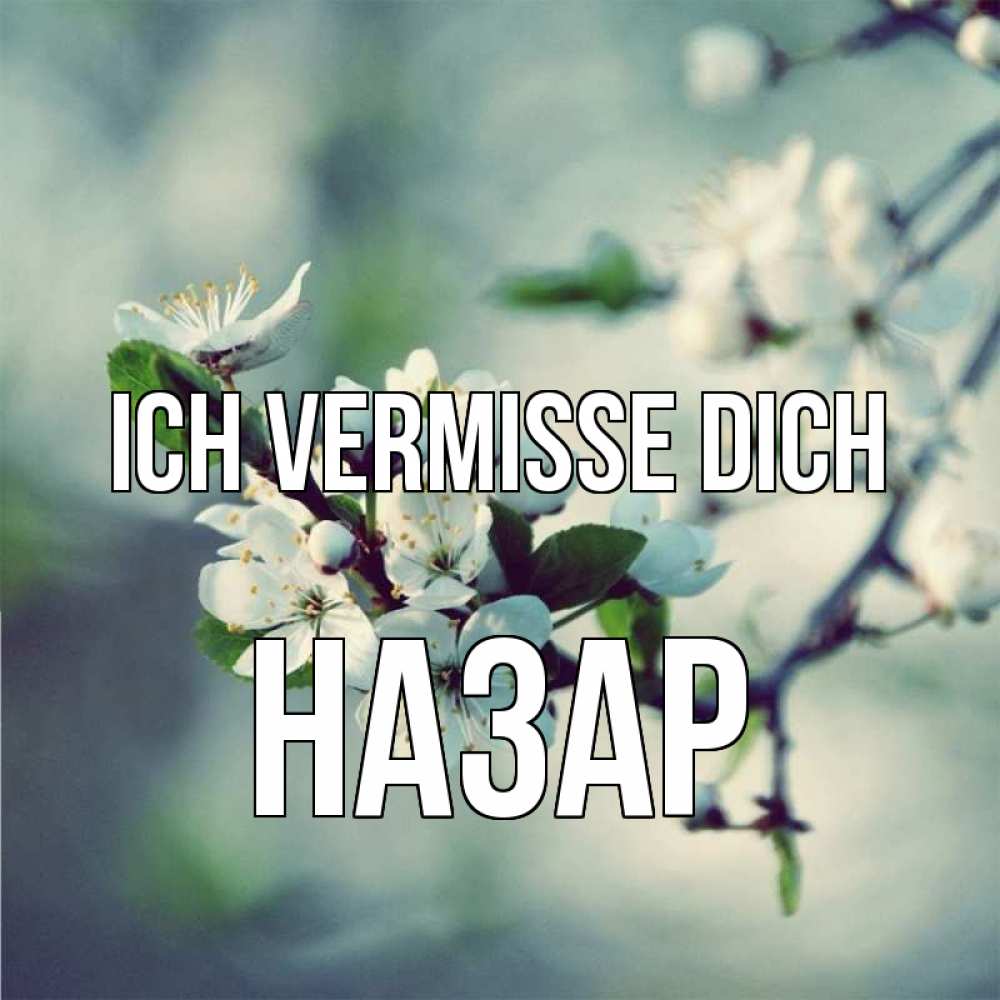 Открытка на каждый день с именем, Назар Ich vermisse dich весна Прикольная открытка с пожеланием онлайн скачать бесплатно 