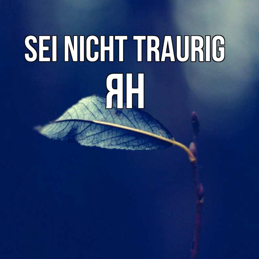 Открытка на каждый день с именем, Ян Sei nicht traurig растение Прикольная открытка с пожеланием онлайн скачать бесплатно 