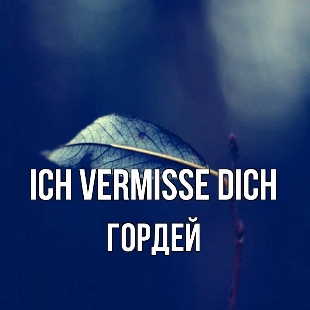 Открытка на каждый день с именем, Гордей Ich vermisse dich одна ветка 1 Прикольная открытка с пожеланием онлайн скачать бесплатно 