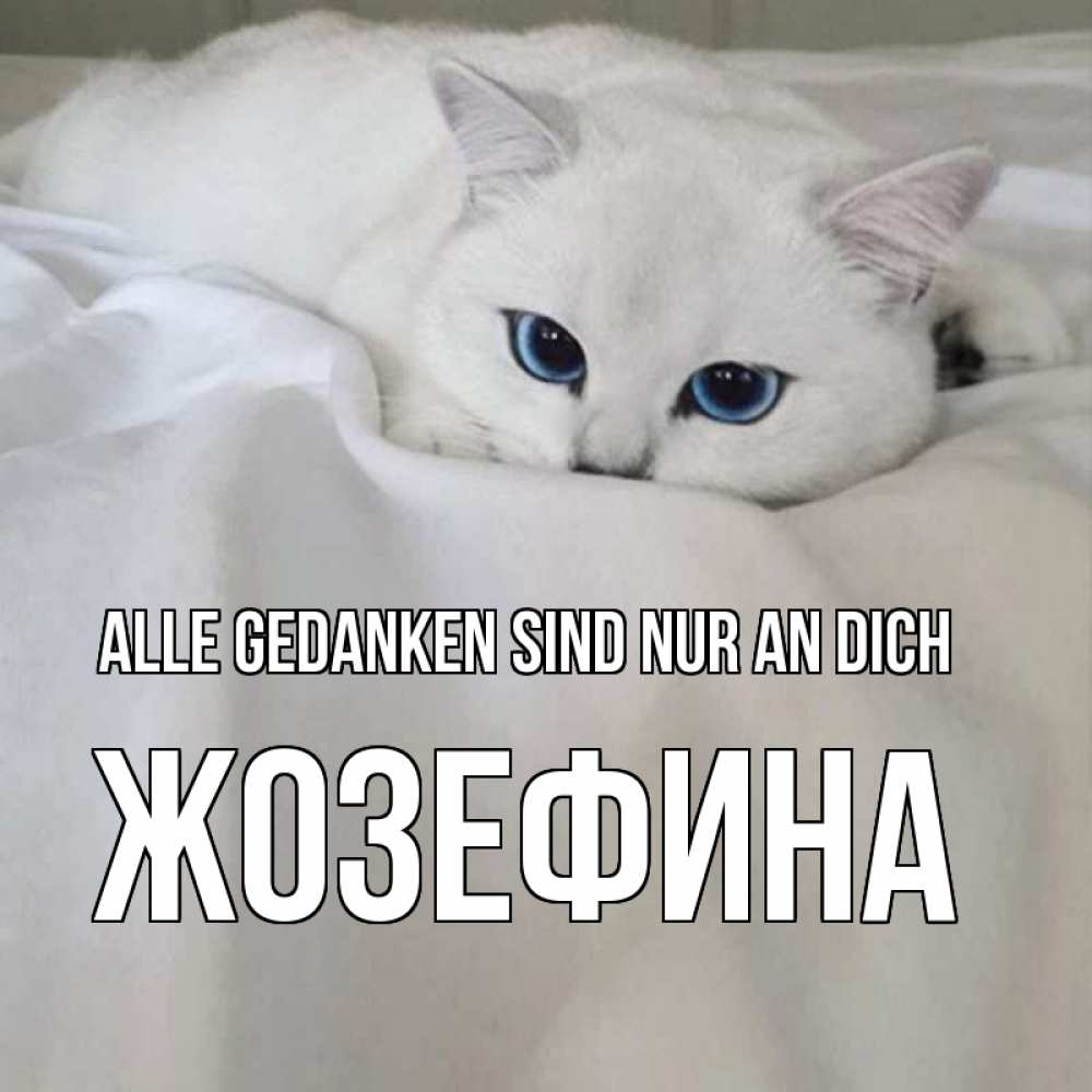 Открытка на каждый день с именем, Жозефина Alle Gedanken sind nur an dich я очень по тебе скучаю и тоскую Прикольная открытка с пожеланием онлайн скачать бесплатно 