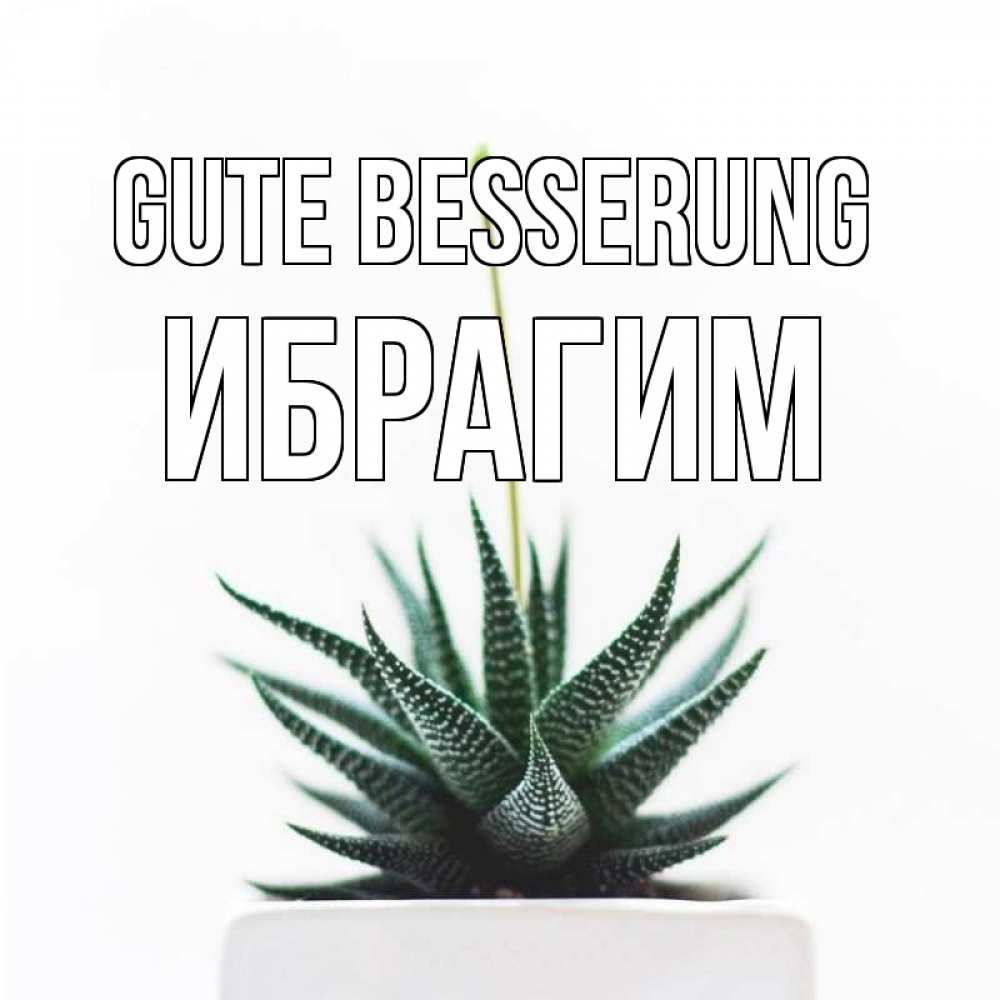 Открытка на каждый день с именем, Ибрагим Gute Besserung короче это непонятная колючка Прикольная открытка с пожеланием онлайн скачать бесплатно 