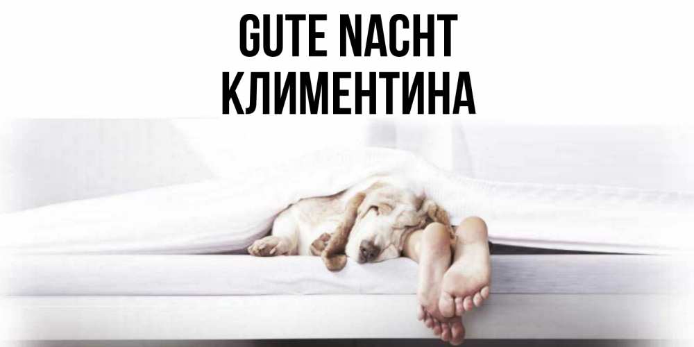 Открытка на каждый день с именем, Климентина Gute Nacht кровать с собакой пожелание сладких снов и спокойной ночи Прикольная открытка с пожеланием онлайн скачать бесплатно 