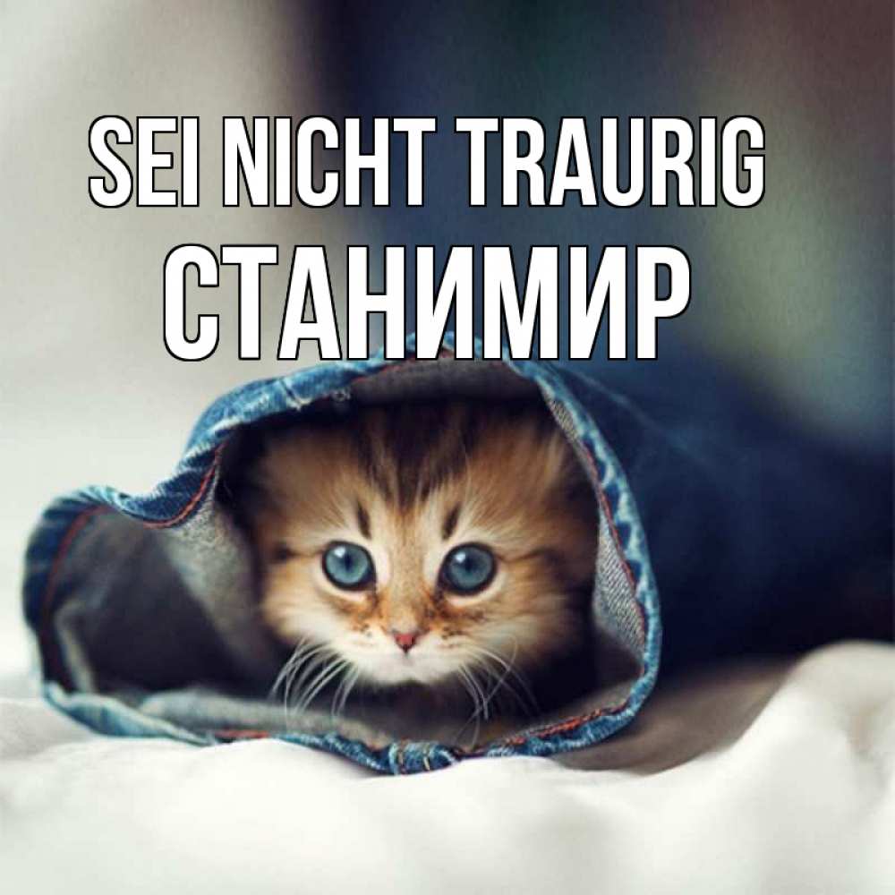 Открытка на каждый день с именем, Станимир Sei nicht traurig рыжик котик Прикольная открытка с пожеланием онлайн скачать бесплатно 
