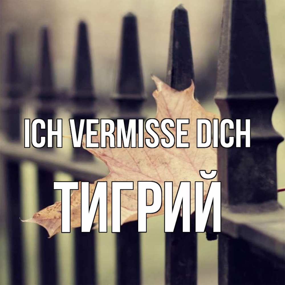 Открытка на каждый день с именем, Тигрий Ich vermisse dich очень скучно Прикольная открытка с пожеланием онлайн скачать бесплатно 