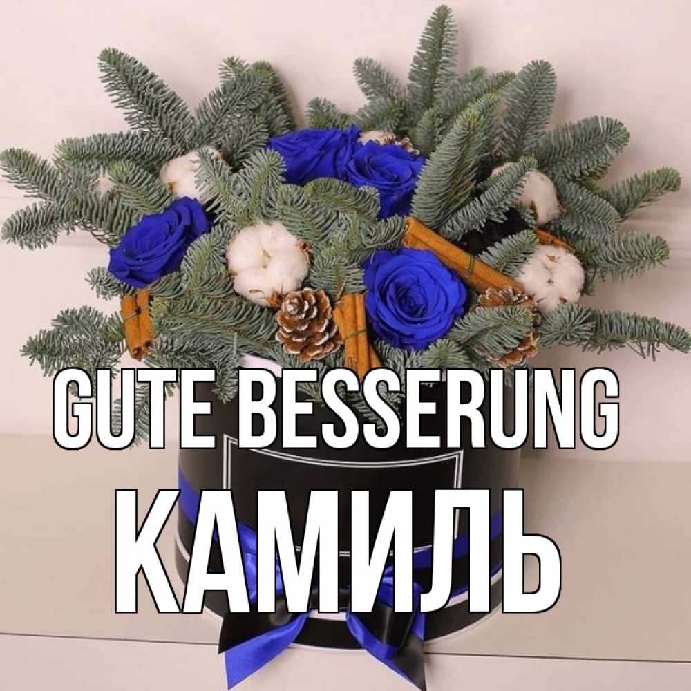 Открытка на каждый день с именем, Камиль Gute Besserung короче кто то загрузил эти шишки Прикольная открытка с пожеланием онлайн скачать бесплатно 